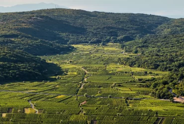 Kvarner Wines Project – vino kao pokretač destinacije